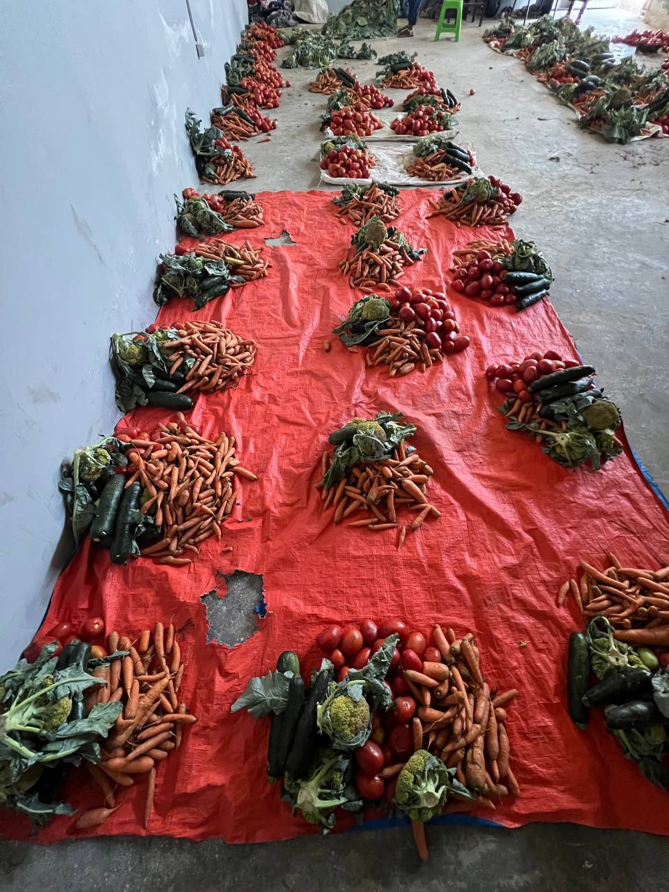 Procurement and ration 7